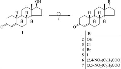 Antiproliferative Properties of Newly Synthesized 19-Nortestosterone Analogs Without Substantial Androgenic Activity